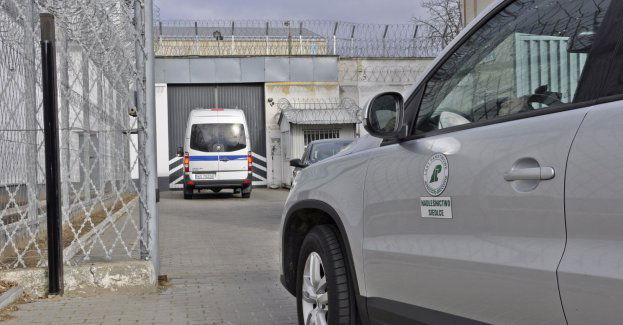 Z ZK Siedlce do Nadleśnictwa w Siedlcach trafiły skrzynki na sadzonki