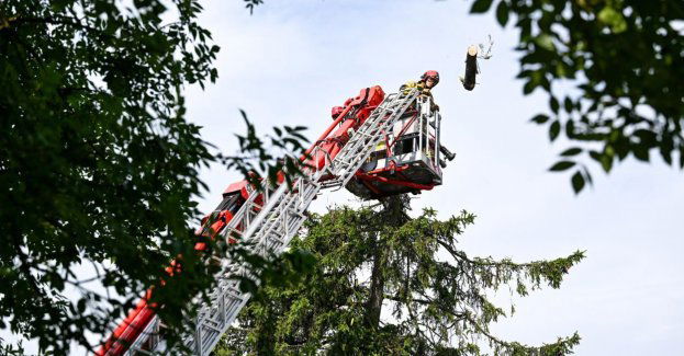 Do godz.19 strażacy odebrali 261 zgłoszeń związanych z usuwaniem skutków silnego wiatru
