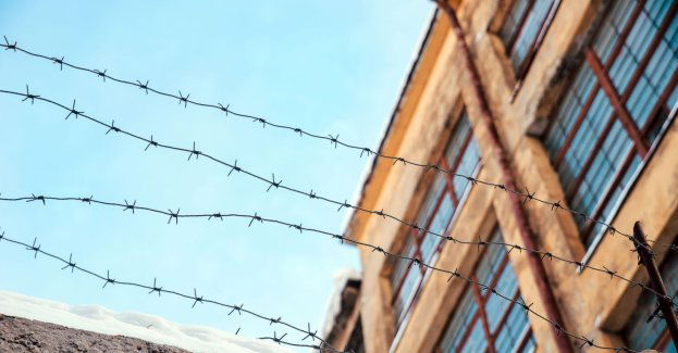 Blisko 196 tys. osób odwiedziło w 2024 r. muzea na Majdanku, w Sobiborze i Bełżcu