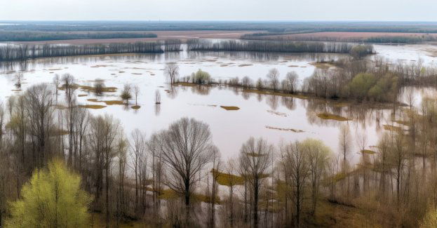 Marszałek województwa wielkopolskiego zadeklarował pomoc samorządom poszkodowanym w wyniku powodzi