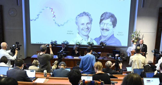 Badania mikroRNA, ważne dla zrozumienia chorób, nagrodzone medycznym Noblem
