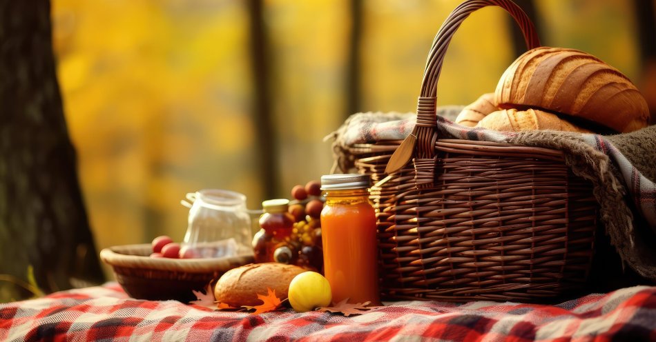 zdjęcie: Zaproszenie na III Jesienny Eko Piknik z Radą Seniorów Miasta Katowice / v66480052