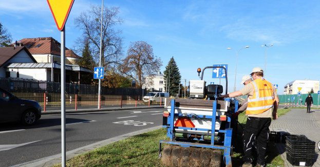 Dywany kwiatowe zakwitną wiosną