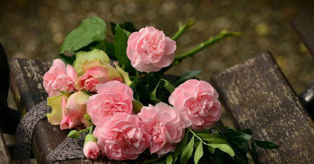 Recydywista okradł kwiatomat, bo chciał zarobić na alkohol