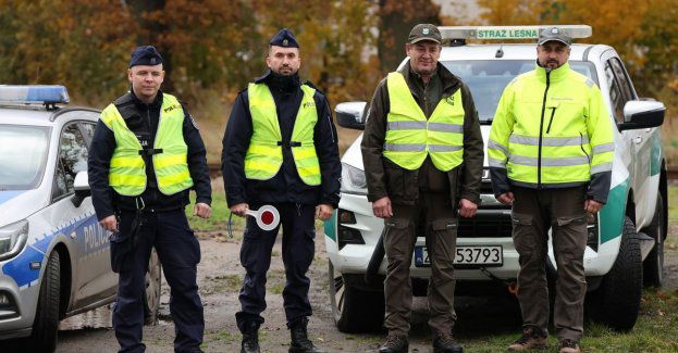 Policja i Straż Leśna patrolują lasy przeciwko kradzieży drewna