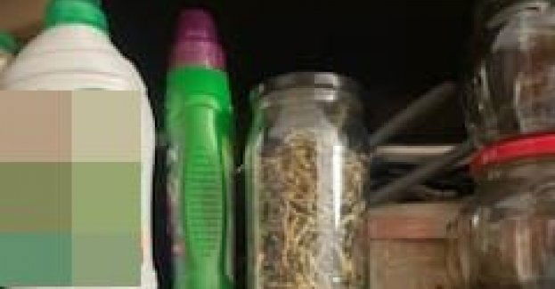 Policjanci pojechali do pożaru  balkonu a… w  środku ujawnili domową planacja konopi