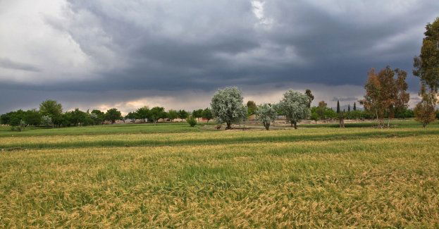 IMGW ostrzega przed silnym wiatrem