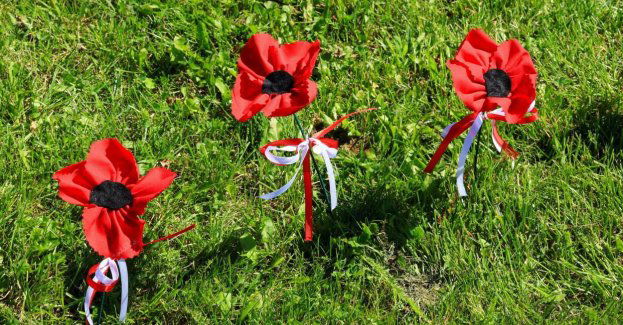 Część maków zabrana z Placu Marszałka Józefa Piłsudskiego wróciła na miejsce