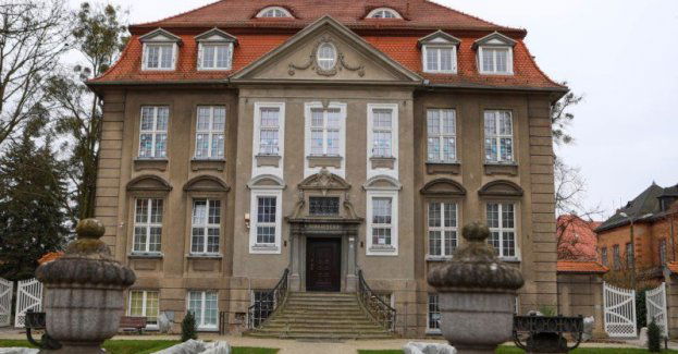 Zajęcia neurobiku dla osób w wieku 60+