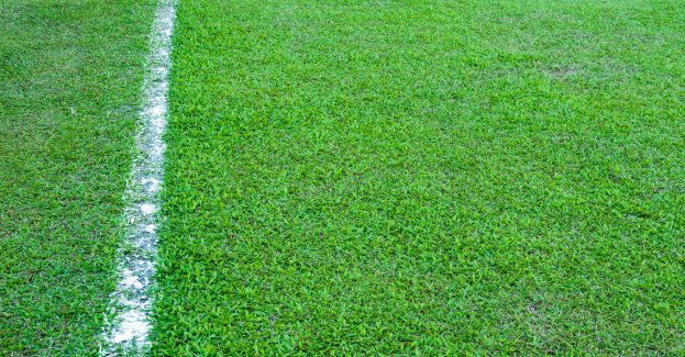 Ekstraklasa piłkarska - w Poznaniu wraca stary problem z murawą