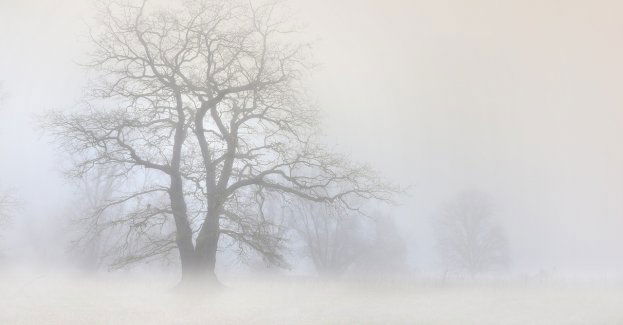 Ostrzeżenie pierwszego stopnia przed mgłą na północy regionu