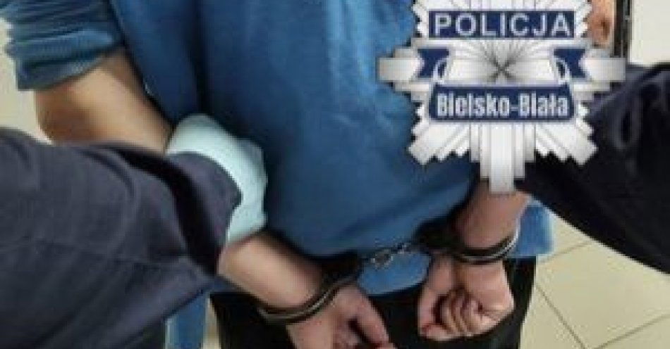 zdjęcie: Bielsko Biała: 17 poszukiwanych zatrzymanych w ogólnopolskiej akcji / fot. KMP w Bielsku-Białej