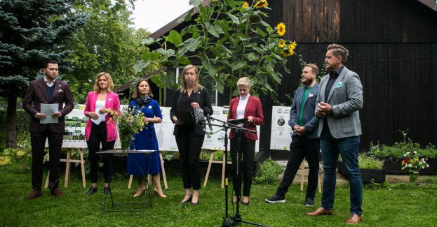 Posłowie apelują: zastąpmy trawniki łąkami kwietnymi