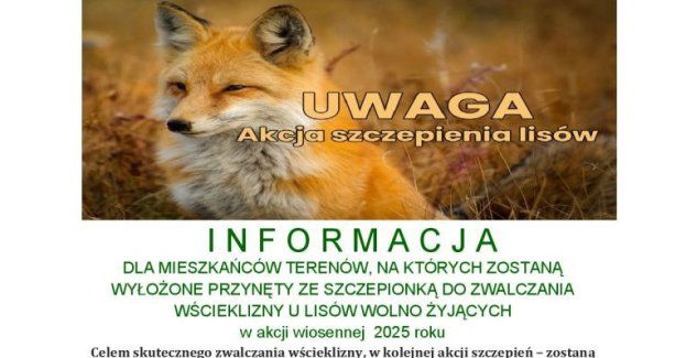 Wiosenna akcja szczepienia lisów
