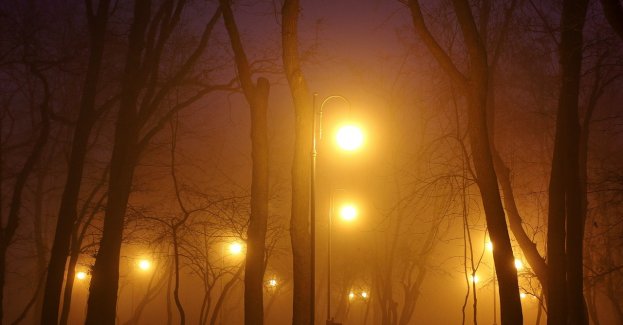 Noc z opadami mieszanymi, lokalnie z mgłami, najchłodniejsza na północy