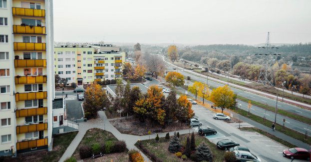 Proces 48-latka, który wyrzucił szczeniaka z czwartego piętra