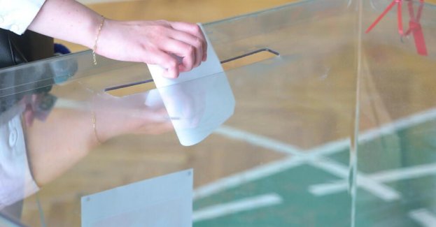 Wyborcy Mentzena i Brauna za Nawrockim, Hołowni, Biejat i Zandberga - za Trzaskowskim