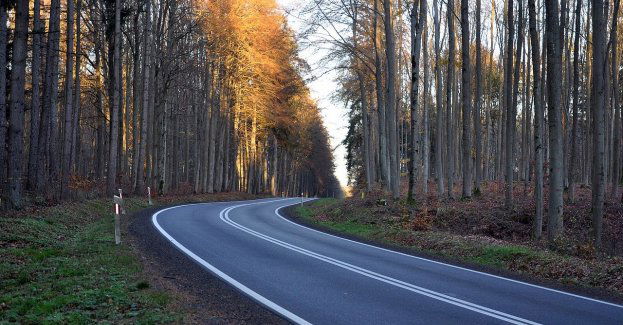 Koniec utrudnień w ruchu po wypadku na dk 10