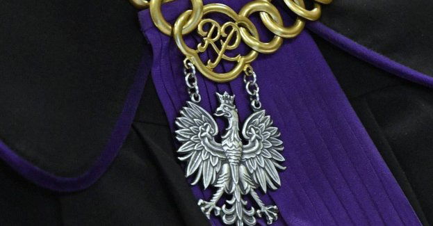 Winna zakopania żywcem trzech szczeniaków skazana na karę grzywny