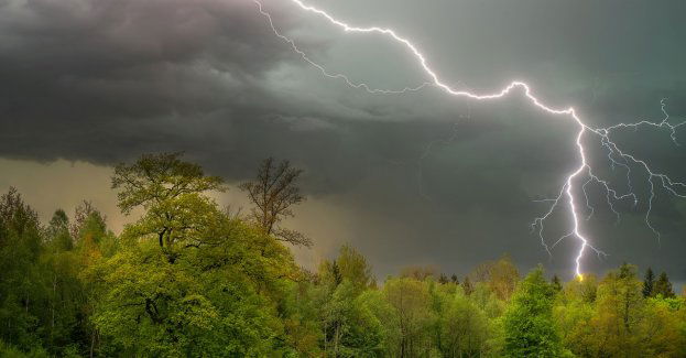 W regionie będzie bardzo gorąco; ostrzeżenia przed upałem i burzami