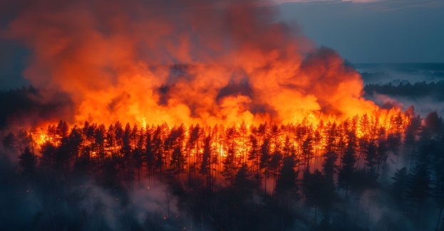 Pożar w Biebrzańskim PN rozszerza się - w dzień znowu akcja z użyciem m.in. śmigłowców(korekta)