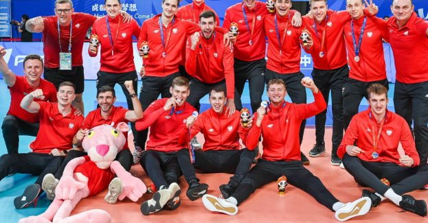 Uniwersjada - srebrne medale polskich pływaczek i siatkarzy