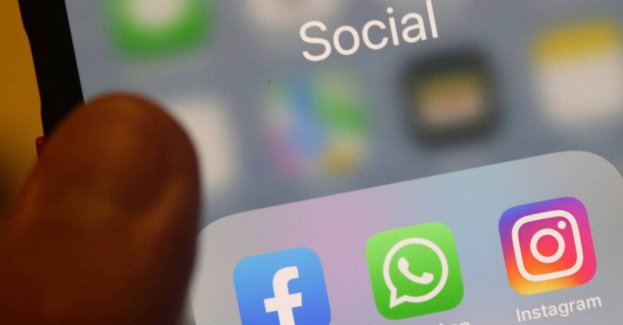 Kontem na Facebooku czy Instagramie po śmierci może zarządzać tzw. opiekun