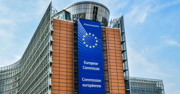 Chcemy, żeby UE partycypowała w pokryciu części kosztów strat rolników (opis)