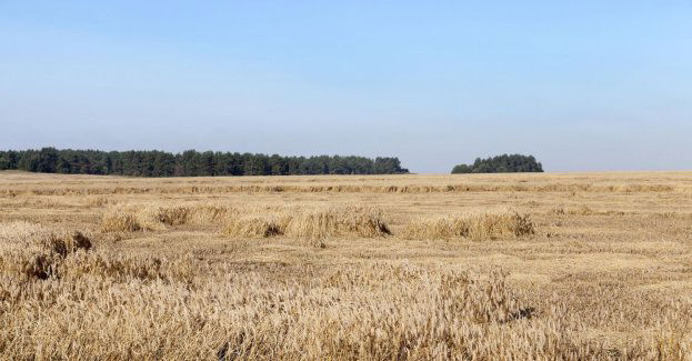 Ponad 87 tys. ha upraw zniszczonych klęskami pogodowymi