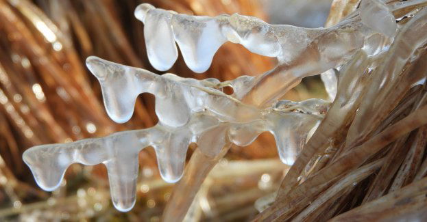 Ostrzeżenie pierwszego stopnia przed opadami powodującymi gołoledź