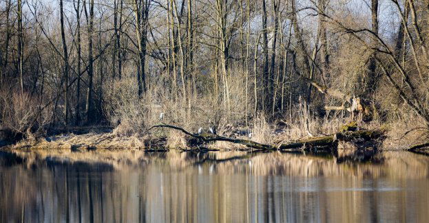 W zbiorniku wodnym znaleziono ciało mężczyzny; służby nie wykluczają, że jest to Grzegorz Borys (krótka)