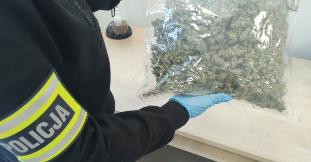 Pół kilograma narkotyków zabezpieczone podczas kontroli drogowej
