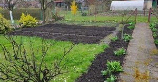 Kolejne kradzieże z altan ogrodowych. Koniecznie sprawdź czy właściwie zabezpieczyłeś swoje mienie, które zostawiasz na działce