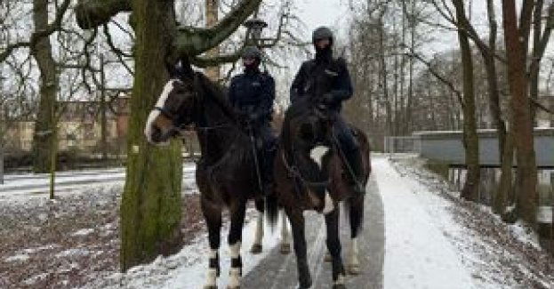 Golden Dream i Tarakan - policyjne wierzchowce wraz z opiekunami patrolują i dbają o bezpieczeństwo na terenie Stargardu