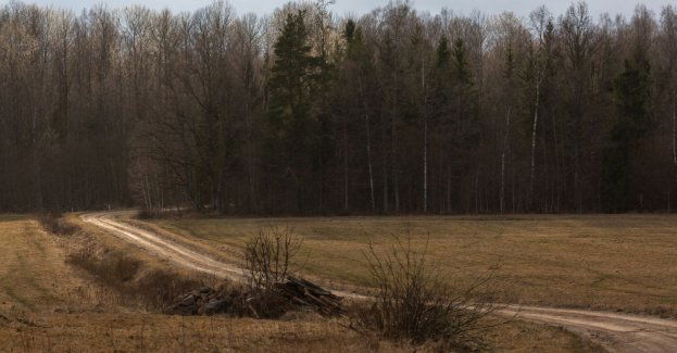 Prokuratura wyjaśnia przyczynę śmierci migranta przy granicy z Białorusią