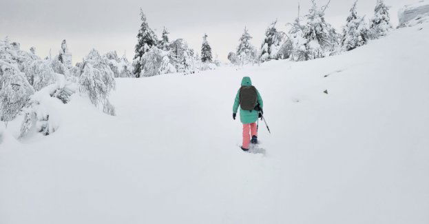 W Karkonoszach zapowiadane są opady śniegu
