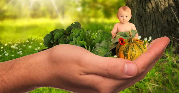 Otwarto farmę miejską, z której warzywa trafią do żłobków