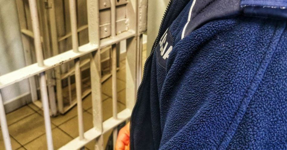 zdjęcie: Nietrzeźwy zabrał samochód kuriera i uderzył w słup / fot. KMP Łomża