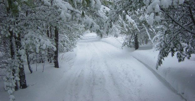Synoptycy ostrzegają przed śniegiem na północnym wschodzie regionu