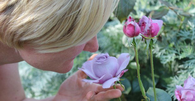 Anosmia - co to takiego?