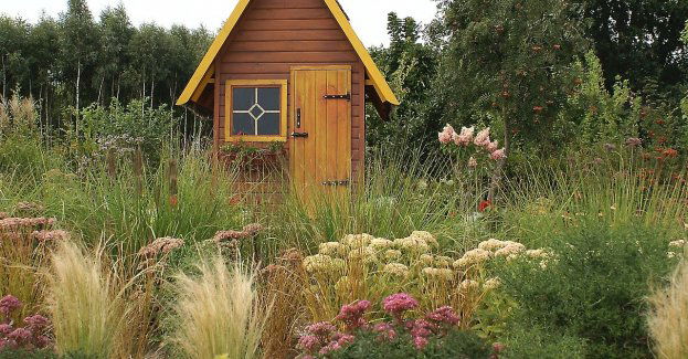 Policja powraca do poszukiwania ciała zaginionej Iwony Wieczorek