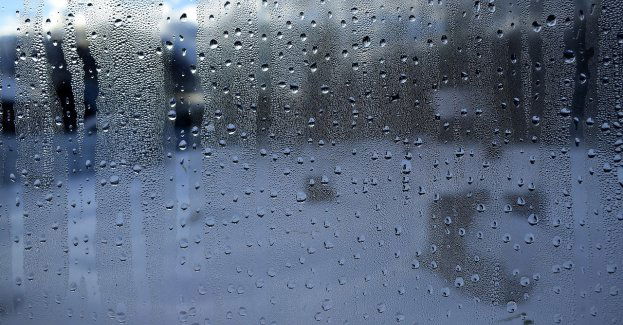 Pierwszy dzień nowego roku z opadami deszczu i dodatnią temperaturą