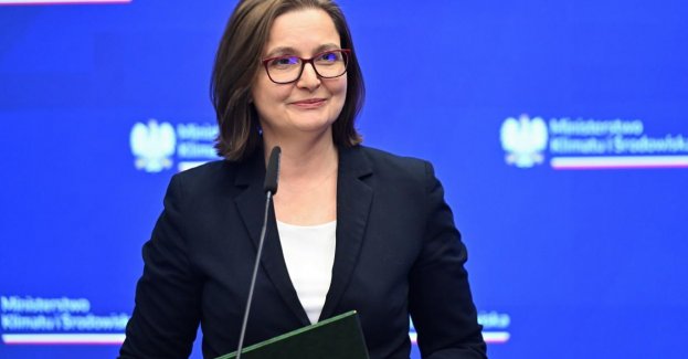 Wiceszefowa MKiŚ zleciła inwentaryzację nielegalnych wysypisk odpadów niebezpiecznych