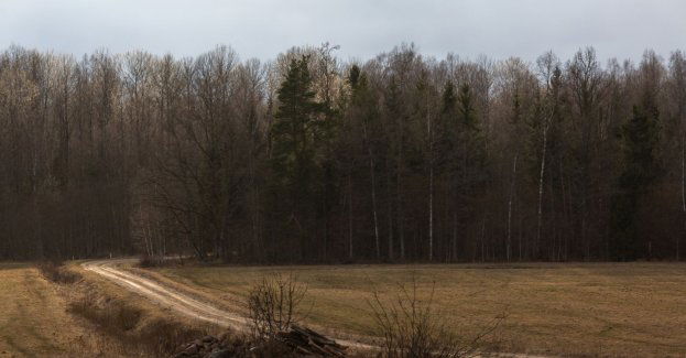 Prokuraturze udało się ustalić tożsamość migranta zmarłego przy granicy z Białorusią