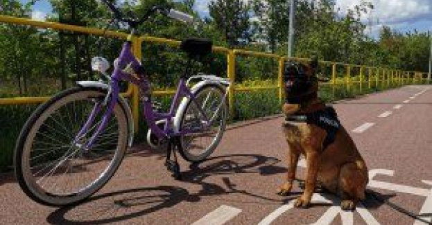 Nie zostawiaj roweru bez nadzoru!