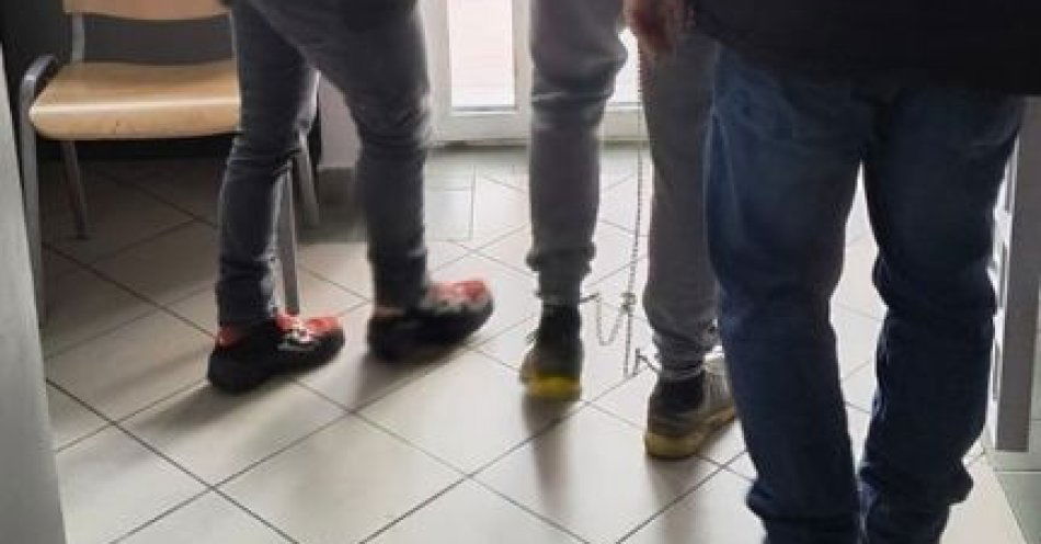 zdjęcie: Zatrzymania za uprawę konopi i duże ilości narkotyków / fot. KMP w Nowym Targu