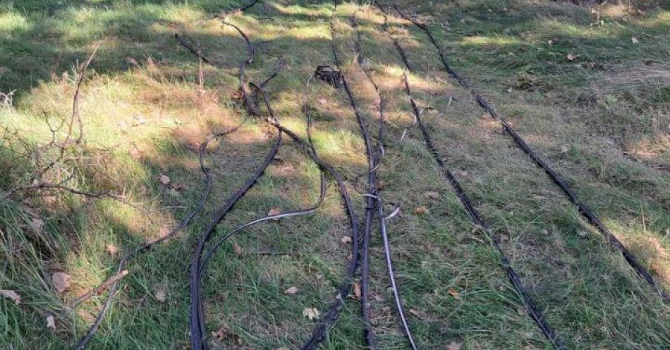 zdjęcie: Zatrzymany za serię kradzieży przewodów telekomunikacyjnych / fot. KPP Wolsztyn