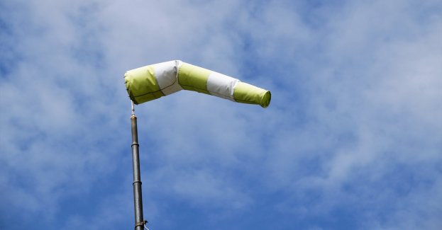 IMGW ostrzega przed silnym wiatrem