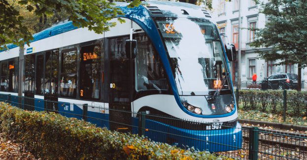 Fałszywe konta transportu publicznego w Częstochowie