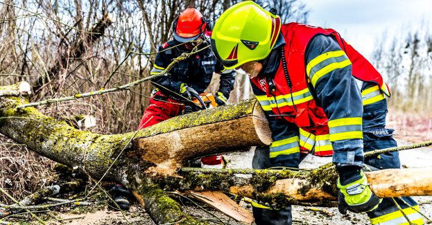 Strażacy interweniowali 275 razy wz. z opadami i wichurami